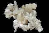 Peach Stilbite Crystal Cluster - Maharashtra, India #102362-1